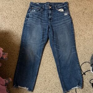 American Eagle Outfitters Medium Wash Cropped Straight Jeans